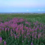 Дом отдыха Beachside Bliss In Marielyst-by Traum