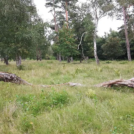 بيت للعطل Beachside Bliss In Marielyst-by Traum *