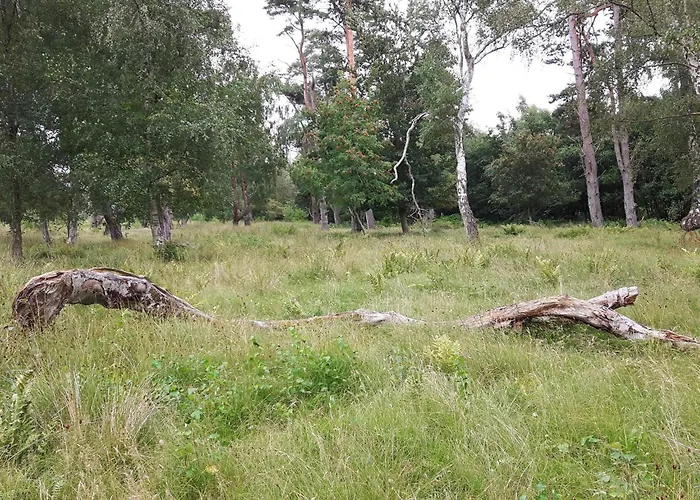 بيت للعطل Beachside Bliss In Marielyst-by Traum *