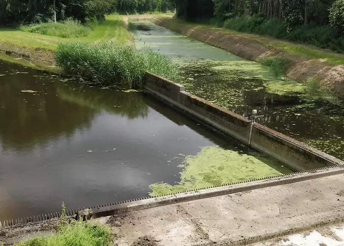 بيت للعطل Beachside Bliss In Marielyst-by Traum *