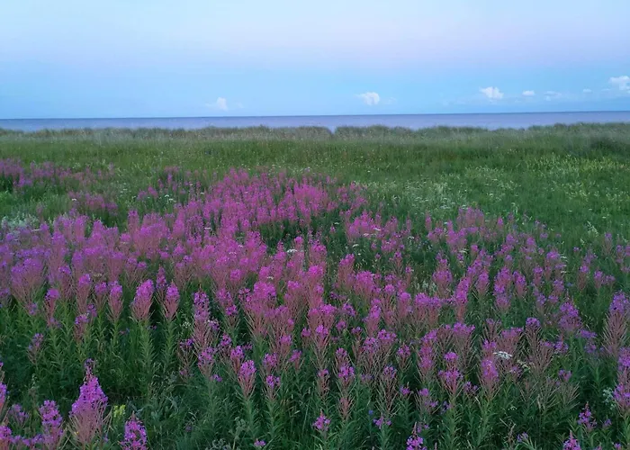 بيت للعطل Beachside Bliss In Marielyst-by Traum