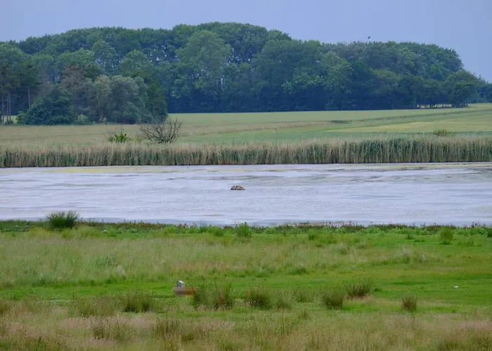 Beachside Bliss In Marielyst-by Traum Bøtø By